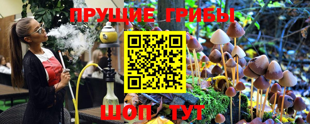 Псилоцибиновые грибы MAGIC MUSHROOMS  Вход с VPN  Лабинск  Галлюциногенные грибы прущие грибы 