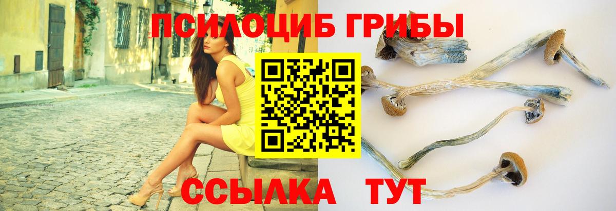 Псилоцибиновые грибы мицелий Лабинск